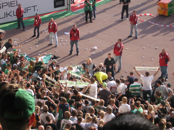 Wiese 1
